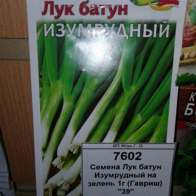 Лот: 9122952. Фото: 1. Семена / Лук батун / Изумрудный... Овощи