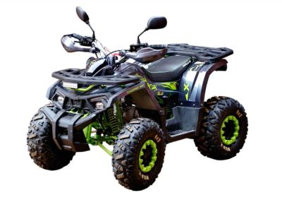 Лот: 25208709. Фото: 1. Квадроцикл MOTOLAND 125 Wild X... Снегоходы, квадроциклы