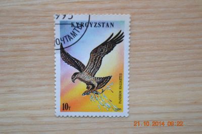 Лот: 4645950. Фото: 1. Марка Кыргызстана, 1995г. из серии... Марки