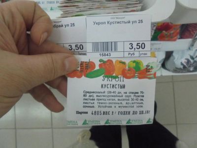 Лот: 6894672. Фото: 1. Семена. Укроп "Кустистый" код... Овощи