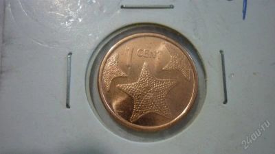 Лот: 1964130. Фото: 1. Добрый крокодил - честное лето... Америка
