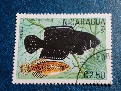 Лот: 25604481. Фото: 1. - Марки для Вашей коллекции. лот... Марки