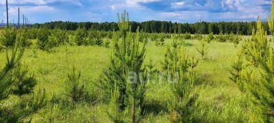 Лот: 23377775. Фото: 1. Земельный участок с электричеством... Земельные участки