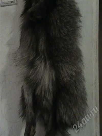Лот: 562615. Фото: 1. чулок лисец. Верхняя одежда
