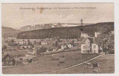 Лот: 11385605. Фото: 1. Дворцы и Замки дореволюционные... Открытки, конверты