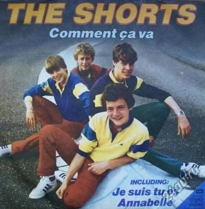 Лот: 5069810. Фото: 1. винил пластинка LP the shorts. Аудиозаписи