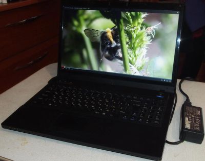 Лот: 4971228. Фото: 1. Ноутбук ДНС Mobile AMD Athlon... Ноутбуки