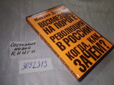 Лот: 22375480. Фото: 1. ок...(3092313) Делягин, Михаил... Политика