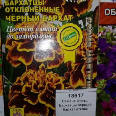 Лот: 9115556. Фото: 1. Семена / Цветы / Бархатцы / черный... Садовые цветы