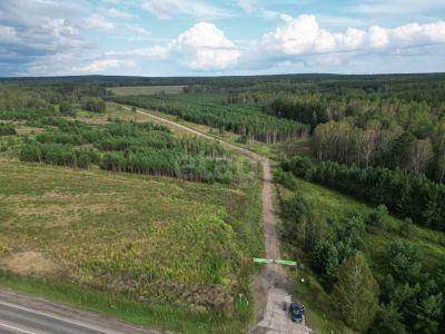 Лот: 25528569. Фото: 1. участок , СНТ Рублёвка СНТ Рублёвка... Земельные участки