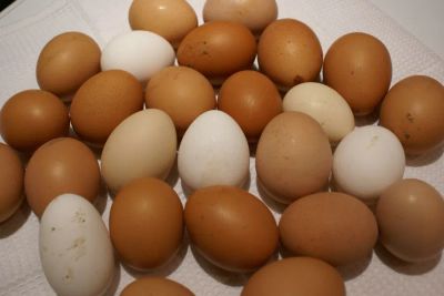 Лот: 19493244. Фото: 1. Яйца куриные деревенские 2 десятка. Мясо, птица, яйцо