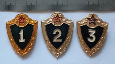Лот: 9497163. Фото: 1. Комплект знаков, воинская классность... Сувенирные
