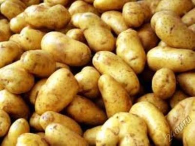 Лот: 12078531. Фото: 1. куплю картофель сорт гала в обмен... Картофель