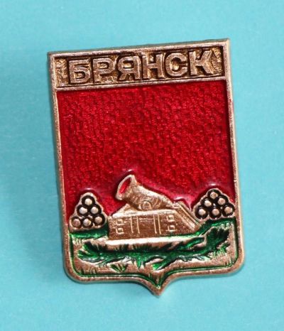 Лот: 9752312. Фото: 1. Знак: город-герб Брянск. (Пл... Сувенирные