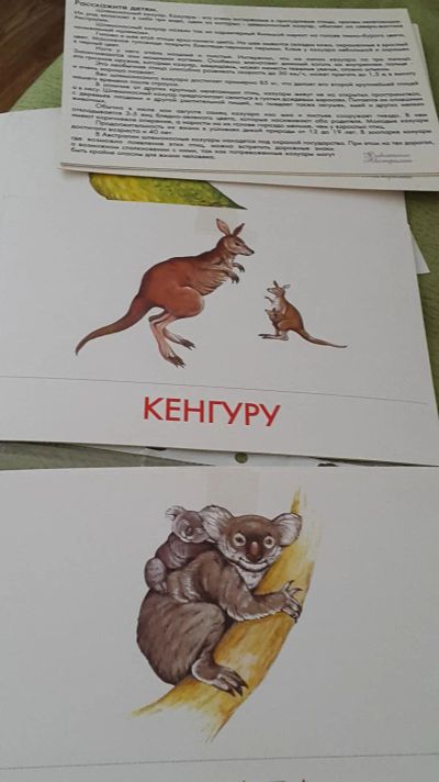 Лот: 9379545. Фото: 1. Карточки Животные Австралии. Познавательная литература