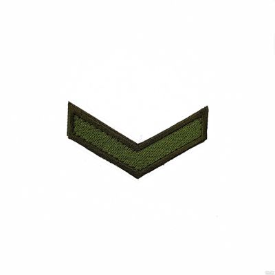 Лот: 13598889. Фото: 1. Выслуга вышит. 1 год зел. на липучке. Нашивки, шевроны, погоны