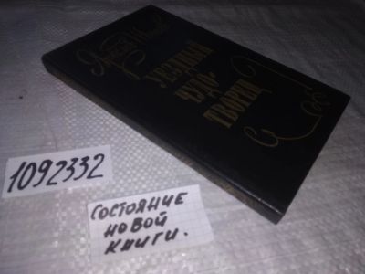 Лот: 21108811. Фото: 1. (1092332) Шипов Ярослав. Уездный... Художественная