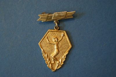 Лот: 3612377. Фото: 1. Значок спорт ( №807 ). Сувенирные