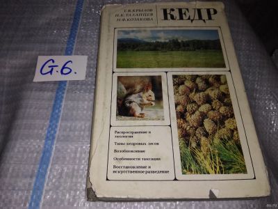 Лот: 16228532. Фото: 1. Кедр, Крылов Г.В., Таланцев Н... Биологические науки