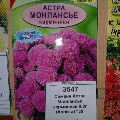 Лот: 9113444. Фото: 1. Семена / цветы / Астра / Монпансье... Садовые цветы