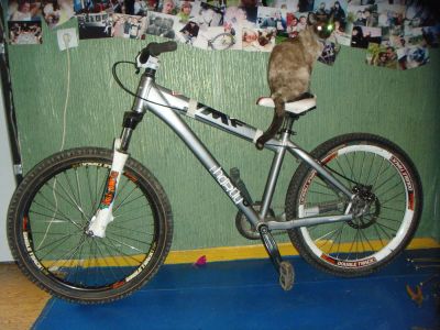 Лот: 7447006. Фото: 1. mtb UMF 24" Single speed. Велосипеды
