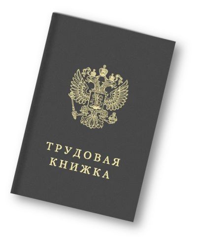 Лот: 20281414. Фото: 1. Трудовая книжка TK-VI. Записные книжки, ежедневники, блокноты
