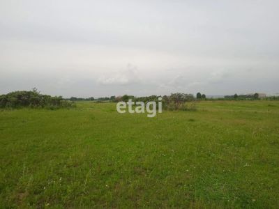 Лот: 25295764. Фото: 1. участок , СНТ Кедр СНТ Кедр, 7194... Земельные участки