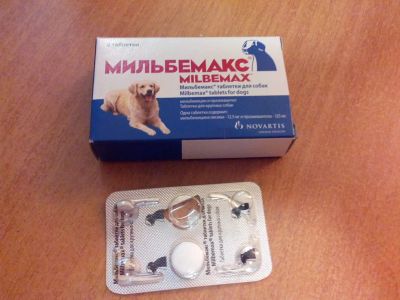 Лот: 6297758. Фото: 1. Глистогонное Мильбемакс для крупных... Косметика для животных