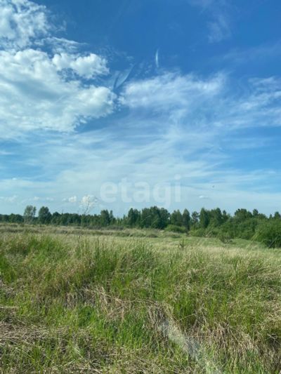 Лот: 21338096. Фото: 1. Продам участок 13 сот. Есауловское... Земельные участки