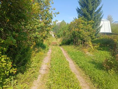 Лот: 23360604. Фото: 1. Участок Новосибирская область... Дома