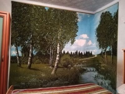 Лот: 17173281. Фото: 1. Ковер с берёзами 2х3 метра. Ковры