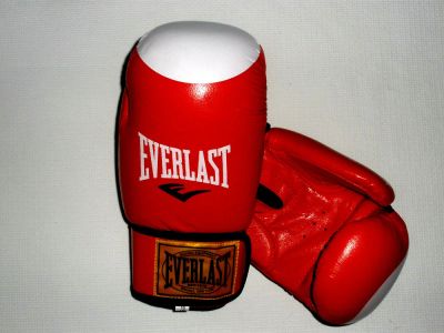 Лот: 4350155. Фото: 1. Перчатки боксерские Everlast. Спецодежда, спецобувь
