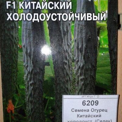 Лот: 9122648. Фото: 1. Семена / овощи / Огурец / Китайский... Овощи