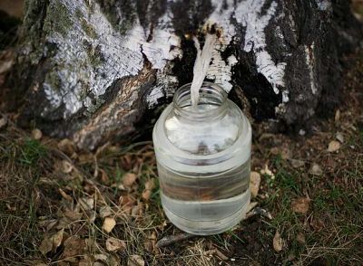 Лот: 5319044. Фото: 1. Сок березовый. Напитки