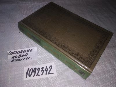 Лот: 21244288. Фото: 1. oz(1092342)(3092354) Гребенщиков... Художественная