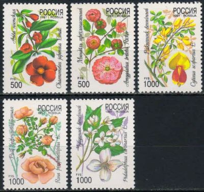 Лот: 18828695. Фото: 1. 1997, 21 января. Декоративные... Марки