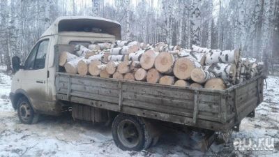 Лот: 15211375. Фото: 1. Дрова береза чурки горбыль береза. Другие (дрова, топливо)