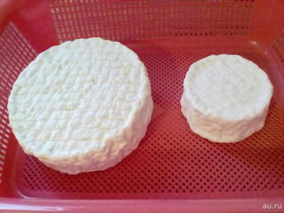 Лот: 9395604. Фото: 1. Командор! сыр из КОЗьего молока... Молоко и молочные продукты