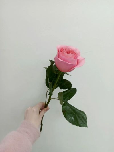 Лот: 25523878. Фото: 1. интерьер. Праздничный декор