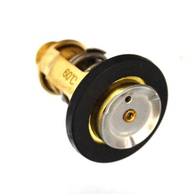 Лот: 21365353. Фото: 1. Термостат 60°C Yamaha F80-F115... Запчасти для лодок, катеров, лодочных моторов