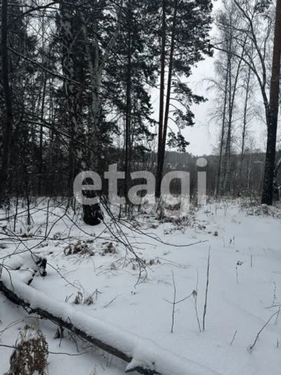 Лот: 25292605. Фото: 1. участок , дачный посёлок Ветеран... Земельные участки