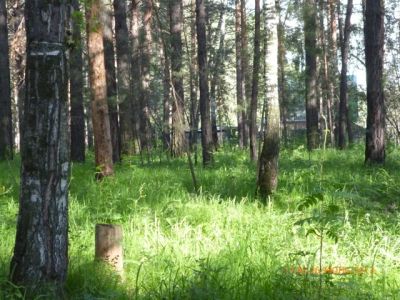Лот: 4292409. Фото: 1. земельный участок. Земельные участки