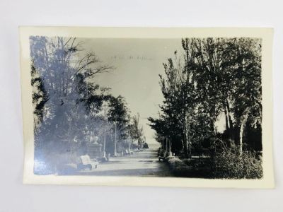 Лот: 23296938. Фото: 1. Крым. Евпатория. Курзал-Парк им... Открытки, конверты