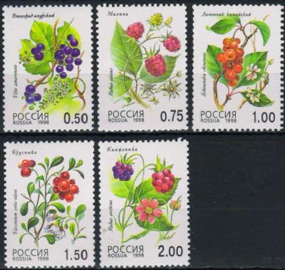 Лот: 18302018. Фото: 1. 1998, 10 июля. Флора. Лесные ягоды... Марки