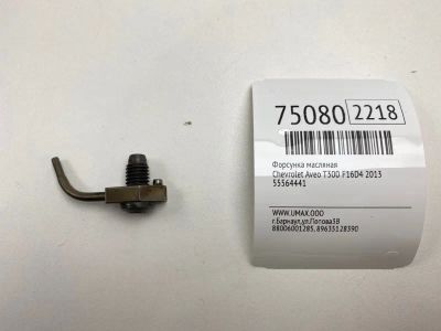 Лот: 21111390. Фото: 1. Форсунка масляная Chevrolet Aveo... Кузов