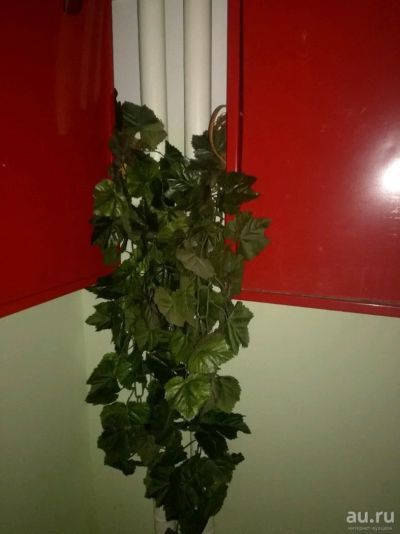 Лот: 13027419. Фото: 1. Цветы искусственные. Искусственные и сувенирные цветы