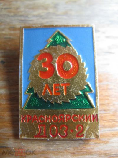 Лот: 20859661. Фото: 1. Значок 30 лет Красноярский ДОЗ-2... Сувенирные