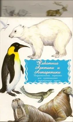 Лот: 7895903. Фото: 1. Дидактические карточки "Животные... Познавательная литература