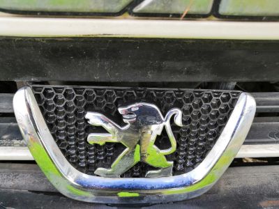 Лот: 16297208. Фото: 1. львенок от пыжика (Peugeot). Кузов