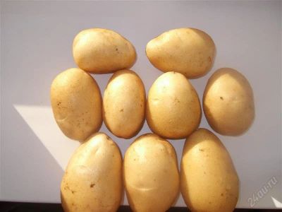 Лот: 2816422. Фото: 1. Картофель семенной Тулеевский. Картофель